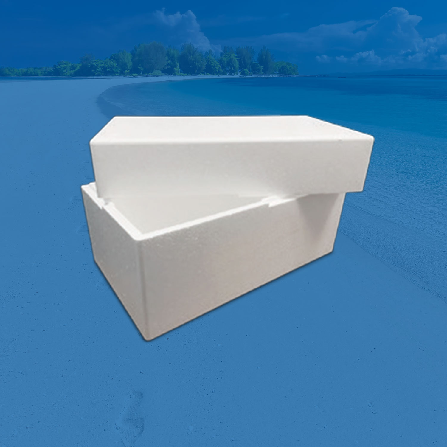 Category: Ice Coolers