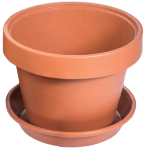 Plant Pot